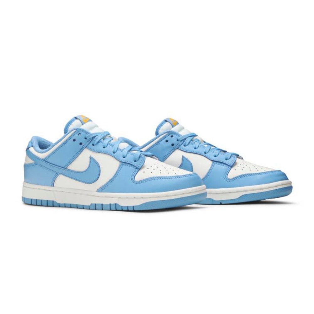 Nike // Coast Dunk
